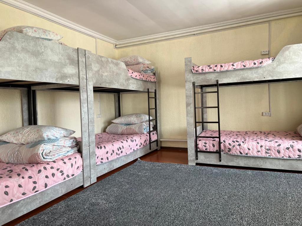 The Nest Hostel Karakol Ngoại thất bức ảnh